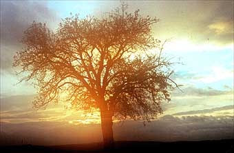 Sonnenuntergang &uuml;ber der "Hahnbach&quot westlich von Schallodenbach;